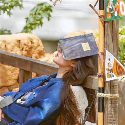 游说 在线观看封面